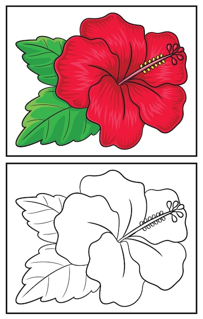 Kleurboek schattige hibiscus kleurplaat en kleurrijk clipart karakter