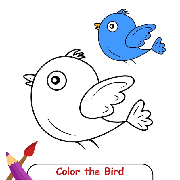 Kleurboek voor kinderen, Bird Vector Graphics