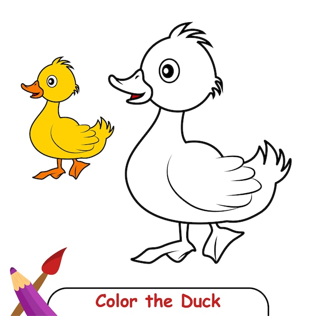 Kleurboek voor kinderen, Duck Vector Graphics