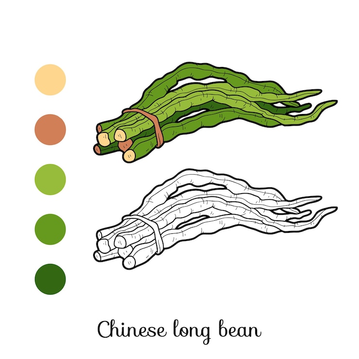 Vector kleurboek voor kinderen, groenten, chinese kousenband