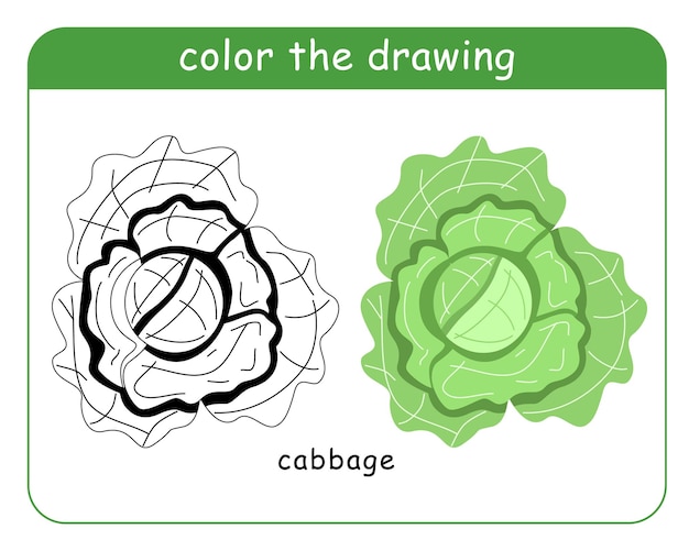 Vector kleurboek voor kinderen kool in kleur en zwart-wit