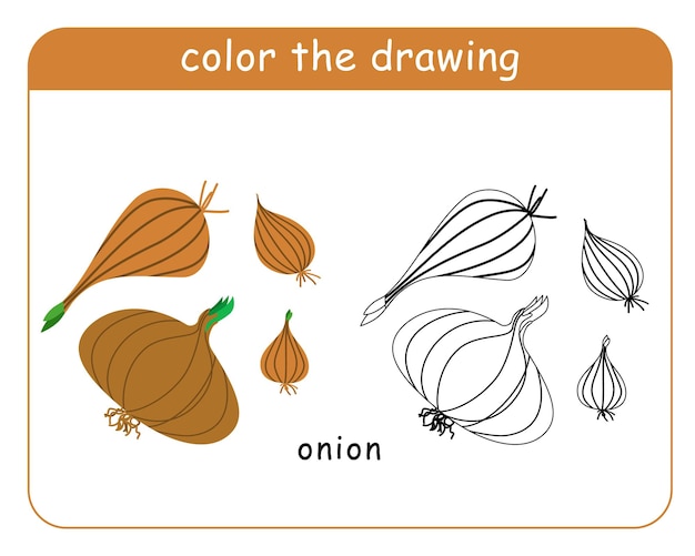 Kleurboek voor kinderen set uienkoppen in kleur en zwart-wit