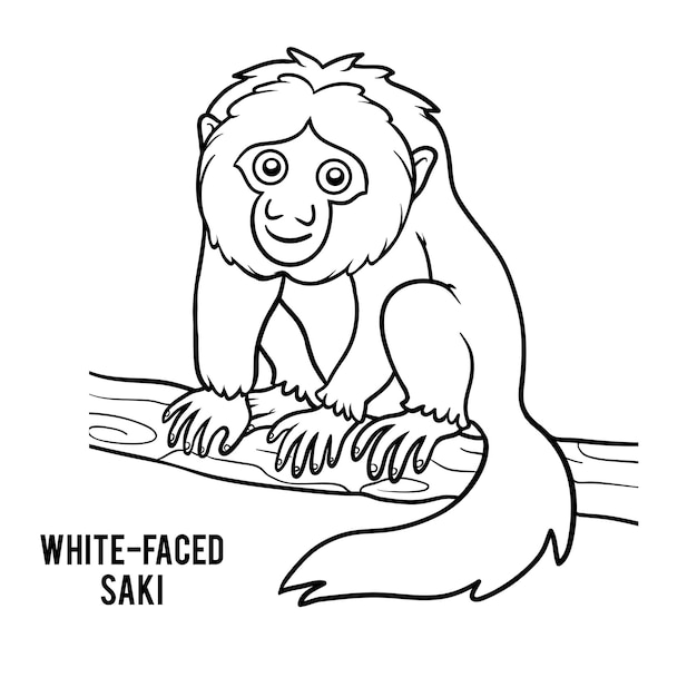 Kleurboek voor kinderen, White-faced saki