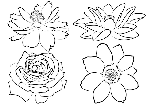 Vector kleuren silhouetten van verschillende tuin bloemknoppen. vector illustratie.