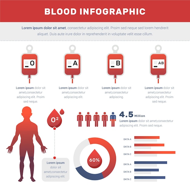 Kleurovergang bloed infographic en menselijk lichaam