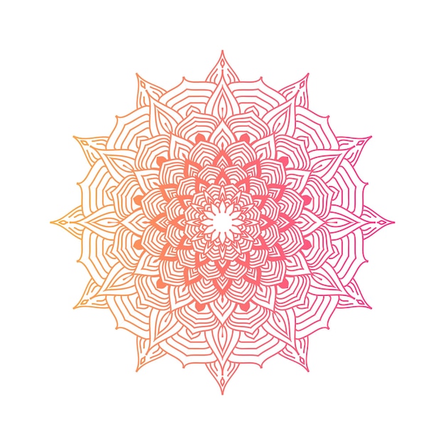 Vector kleurovergang boho bloemen mandala geïsoleerd op een witte achtergrond