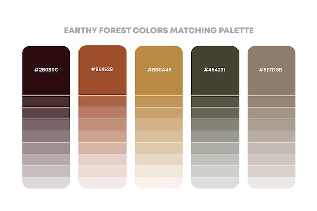 Kleurpalet gids in Earthy kleur thema collecties Kleur inspiratie of kleur grafiek met codes