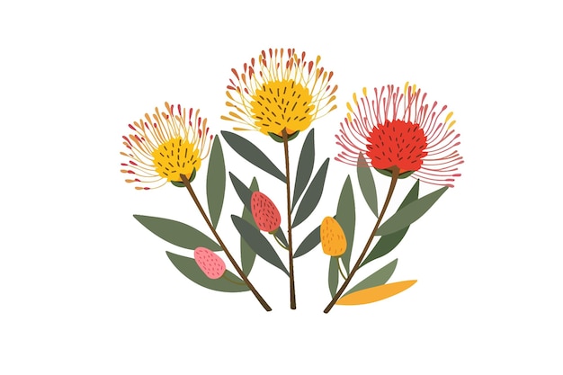 Kleurrijk Pincushion Protea Flower Vector illustratieontwerp