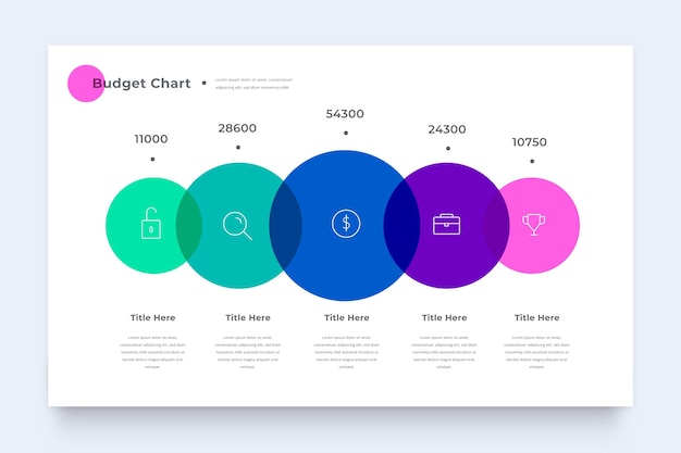 Kleurrijke budget infographic sjabloon