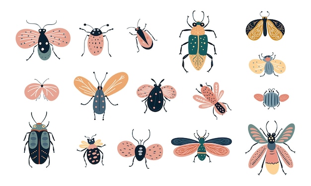 Kleurrijke bug kever mot vlieg vlinder insect doodle set vector collectie