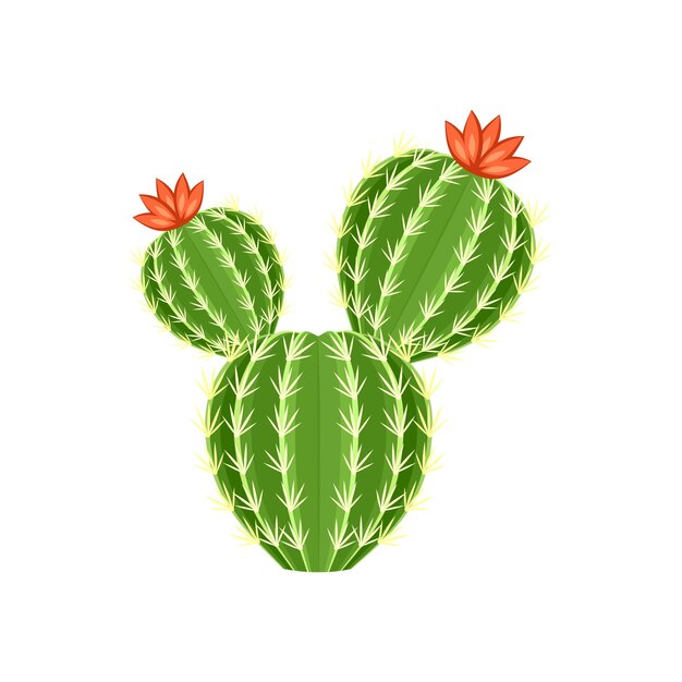 Vector kleurrijke cactus en sappige plant vector illustratie decoratieve geïsoleerde pictogram cartoon doodle