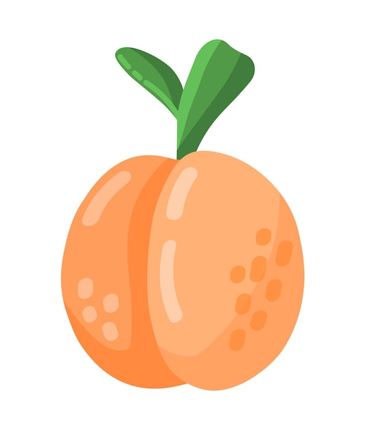 Kleurrijke cartoon perzik of abrikoos fruit pictogram geïsoleerd op een witte achtergrond Doodle eenvoudige vector zomer sappig voedsel SAP pakket of logo ontwerpelement