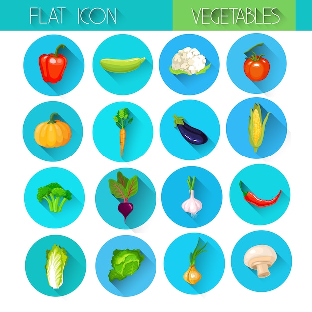 Vector kleurrijke collectie plantaardige pictogramserie