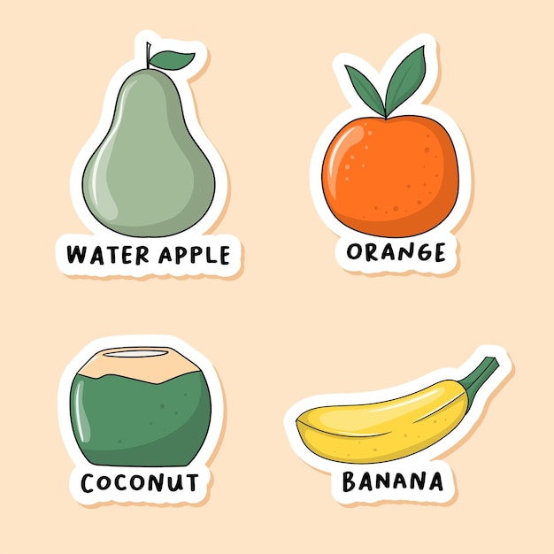 Vector kleurrijke hand getrokken fruit stickers collectie