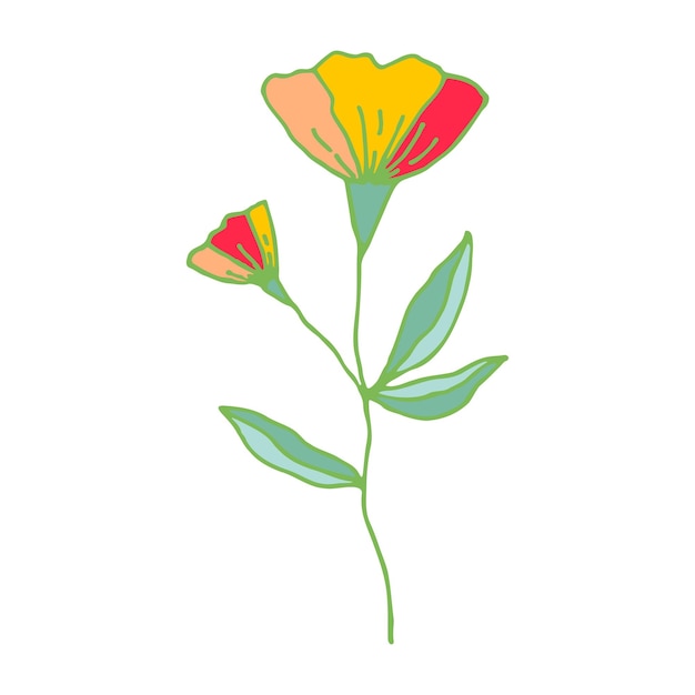 Kleurrijke hand getrokken lentebloem op witte achtergrond Bloem Doodle vectorillustratie Spring