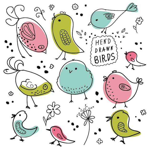 Kleurrijke hand getrokken vogels en bloemen, naadloos patroon. Vector illustratie.