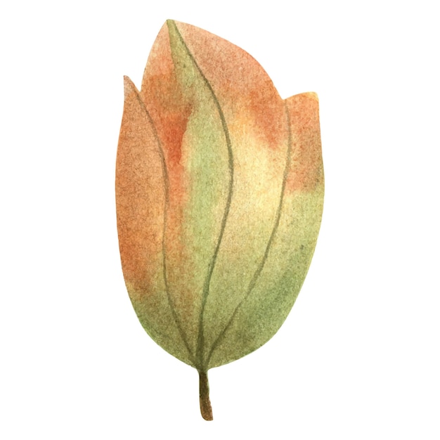 Kleurrijke heldere herfstbladeren geschilderd in aquarel herfstillustratie