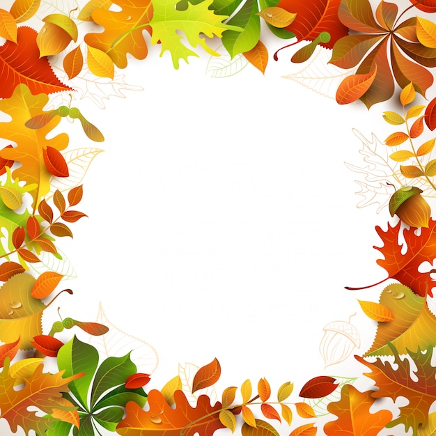 Vector kleurrijke herfst frame