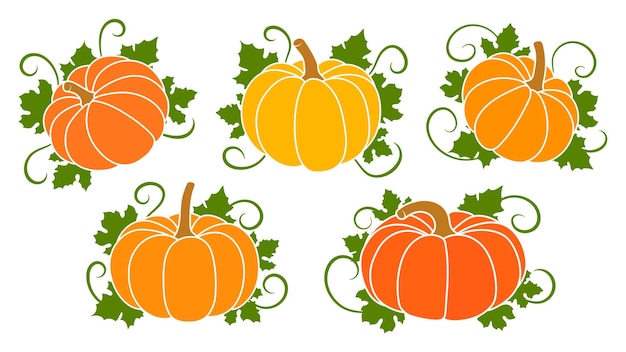 Kleurrijke herfstpompoenen en bladeren Collectie pompoenen voor Halloween en Thanksgiving-ontwerp