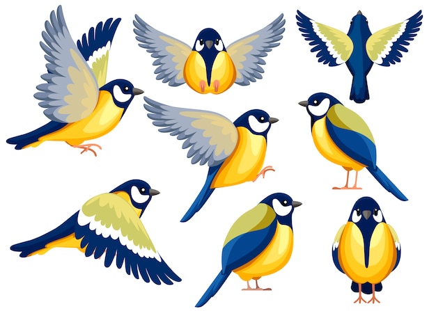 Kleurrijke Icon set van mees vogel. karakter. Vogelpictogram in andere kant van mening. Leuke meesjabloon. illustratie op witte achtergrond.