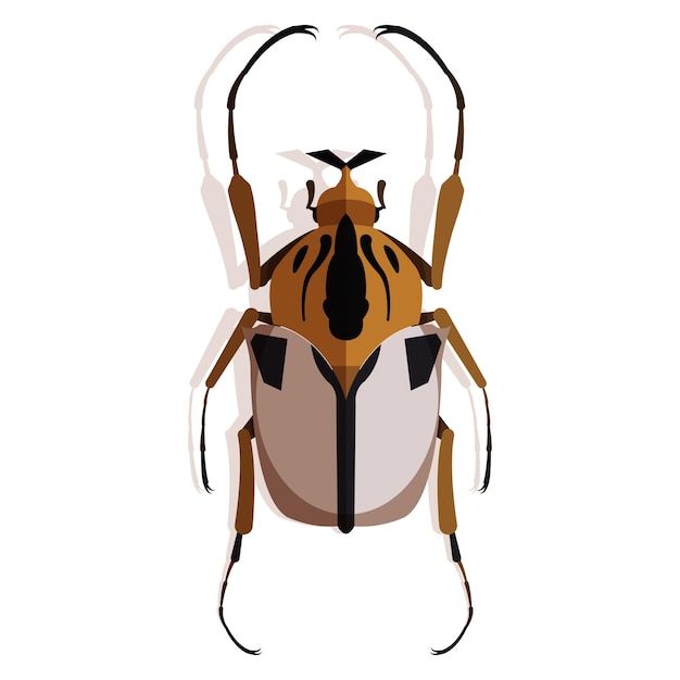 Vector kleurrijke insectenvector