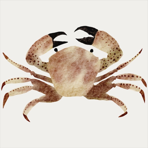 Kleurrijke krab aquarel artistieke mariene illustratie