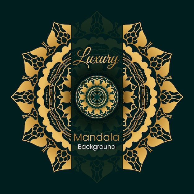 Vector kleurrijke mandala design gouden mandala en kleurrijke achtergrond