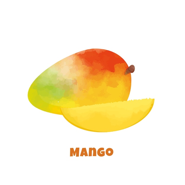 Vector kleurrijke mango vector geïsoleerd op een witte achtergrond