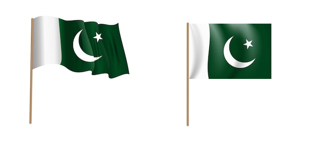 Kleurrijke naturalistische wapperende vlag van Pakistan.