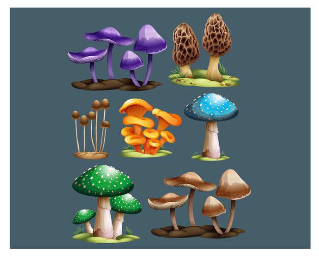 Kleurrijke paddenstoelen
