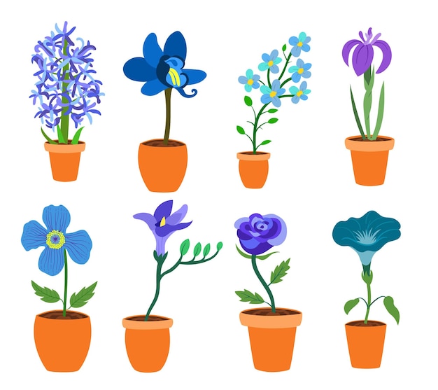 Vector kleurrijke realistische platte bloemen in vaas set blauwe en paarse kleuren perfect voor illustraties en natuureducatie