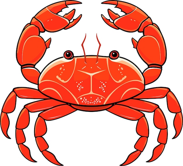 Kleurrijke rode krab vectorillustratie Zeeschepsel shell krab pictogram geïsoleerd op witte achtergrond