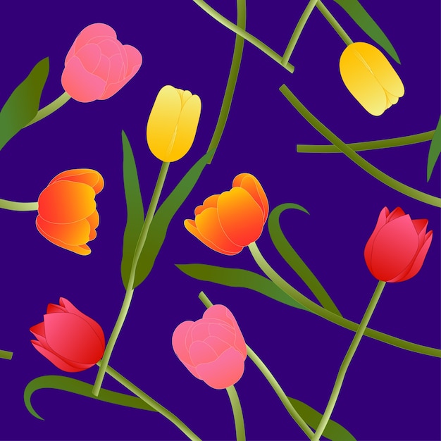 Kleurrijke tulp op blauwe violette achtergrond