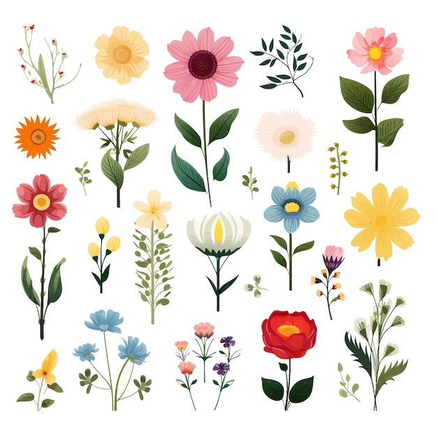 Vector kleurrijke verschillende soorten bloemen instellen vector clipart witte achtergrond