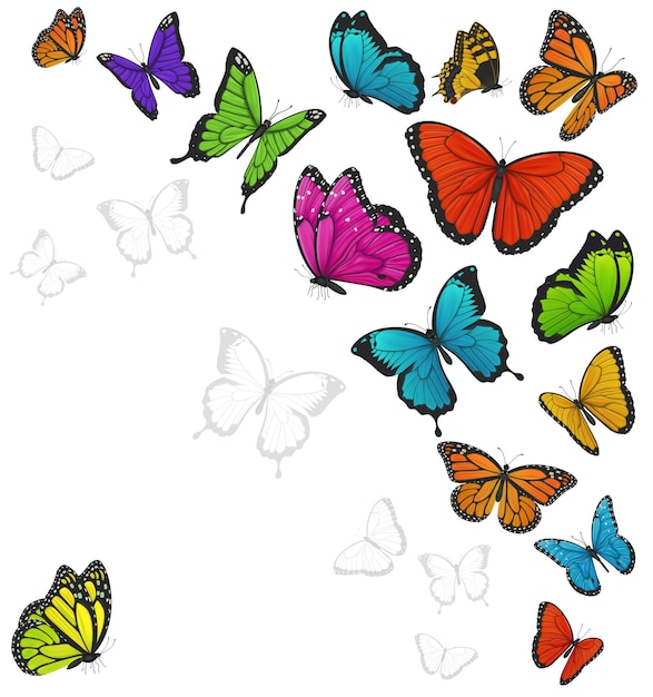 Vector kleurrijke vlinders geïsoleerd op wit