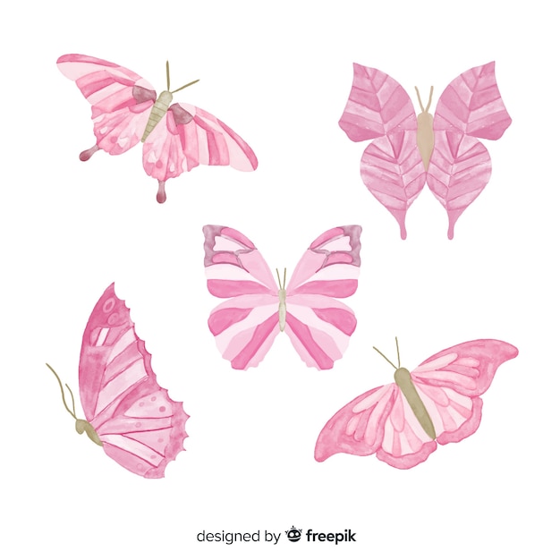 Vector kleurrijke vlindersinzameling