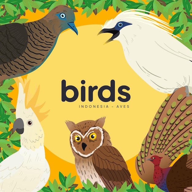 Kleurrijke vogels boek omslag idee voor kinderen en onderwijs