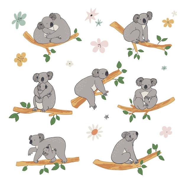 Koala Australische dieren vector illustraties set