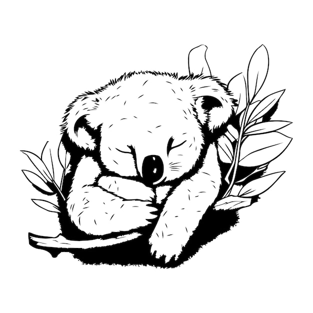 Koala bear sleeping on a branch with leaves Vector illustration