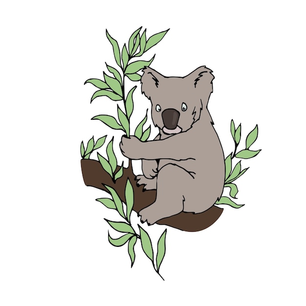 Koala beer zittend op eucalyptus tak en eten bladeren kleur vectorillustratie
