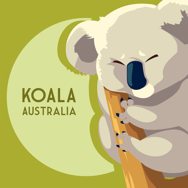 Koala buideldier Australische dieren wildlife illustratie