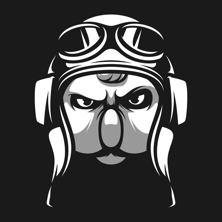 Vector koala pilot black and white