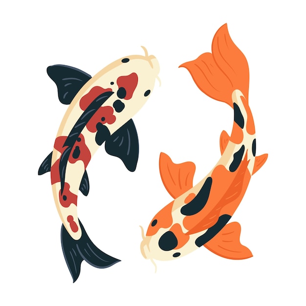 Koi carp fish japanese koi carp fish cute oriental fish koi swimming carps flat vector symbols illustration asian colorful koi fish