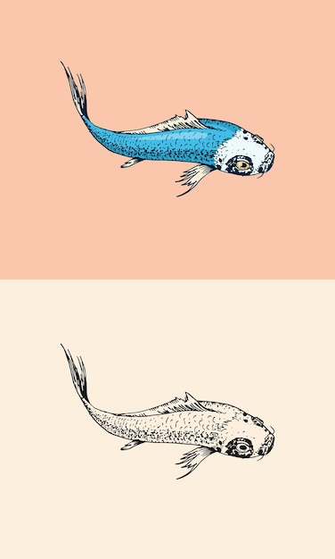 잉어 잉어 일본어 물고기 동물 새겨진 손으로 그린 라인 아트 빈티지