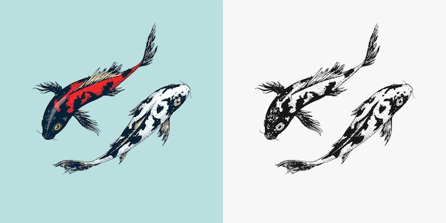 鯉鯉日本魚動物刻まれた手描き線画ヴィンテージ