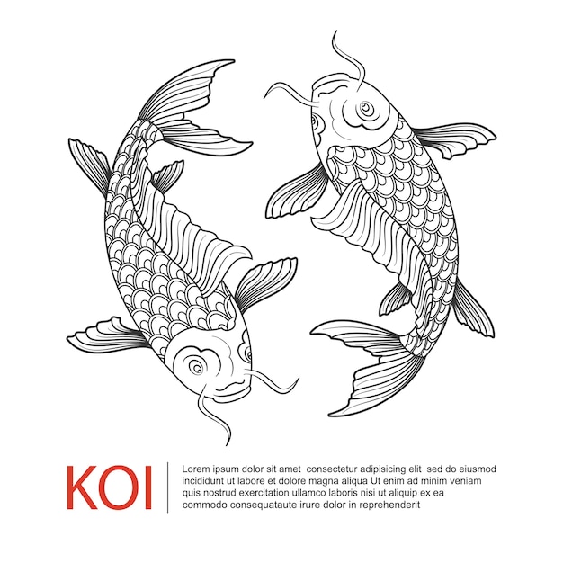 Koi carp logo