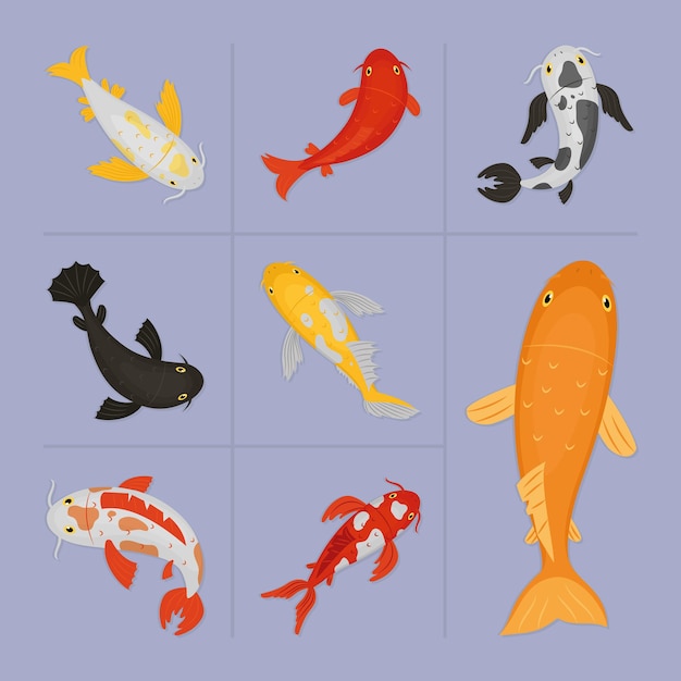 Koi carps icon set design