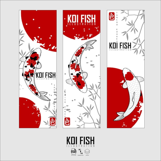Vector koi fish illustration with a gray background