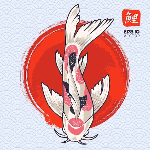 Koi fish on painted red circle. Japanese carp.