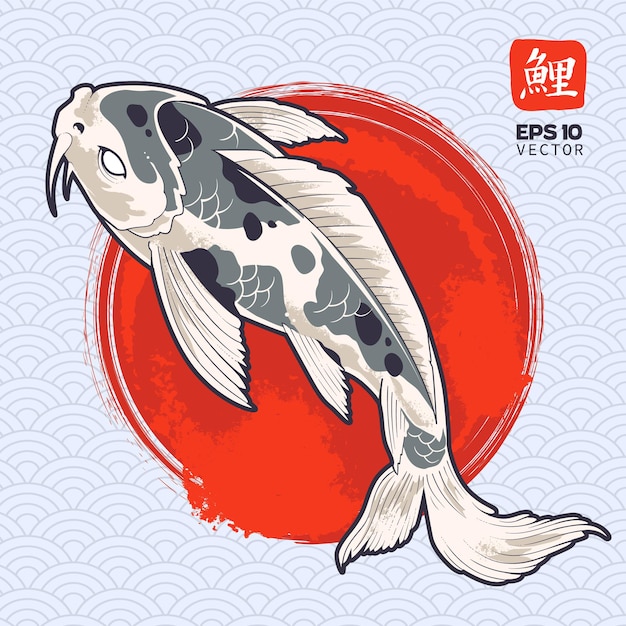 Vector koi fish on painted red circle. japanese carp.